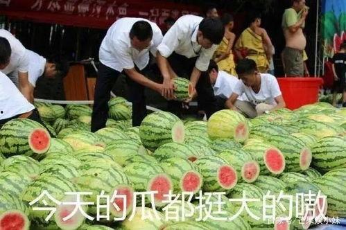 吃瓜日志,揭秘娱乐圈幕后故事