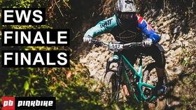 你们吃瓜了吗原声,吃瓜了吗？揭秘娱乐圈最新热点事件