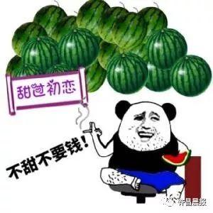 去捡瓜吃,跟随孩子脚步，体验去捡瓜吃的欢乐时光