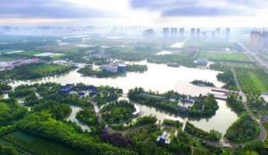 沭阳南湖吃瓜,尽享清凉夏日时光