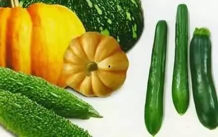 吃瓜有营养的瓜,吃瓜也能养生，营养瓜果大揭秘