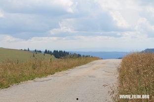 梦见到地里摘瓜吃瓜,摘瓜吃瓜的田园幻想之旅